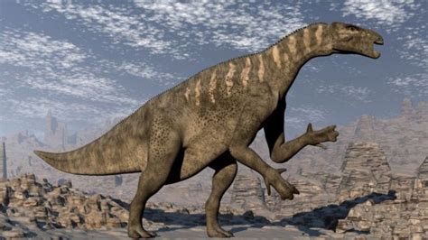 Cuál es el origen del petróleo y no no viene de los dinosaurios