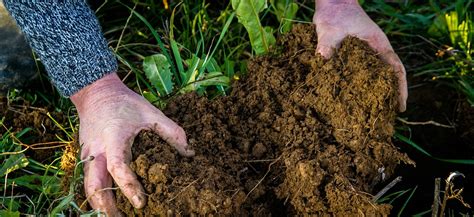 New Videos Launched To Help Farmers Improve Soil Health Agricology