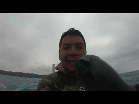 Pesca De Pargos Con Arpon A 15 Metros De Profundidad YouTube