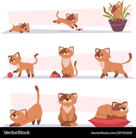 Cat Growth Stages