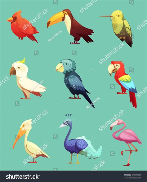 Exotic Tropical Paradise Island Birds Retro: vetor stock (livre de ...