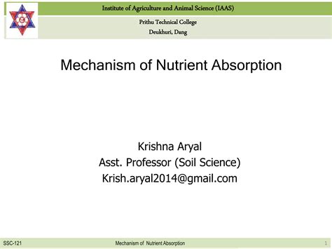 mechanism  nutrient absorption