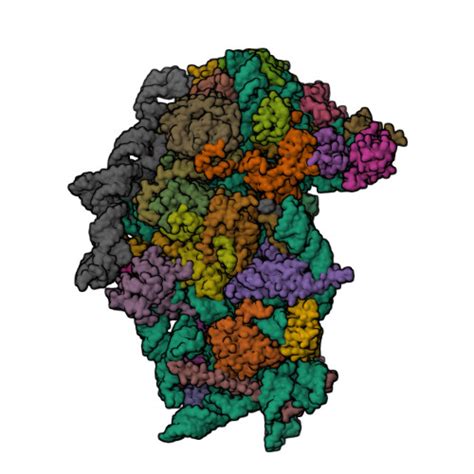 Gene P47813 Protein EIF1AX Overview CanSAR Ai