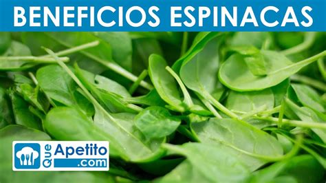 Beneficios Para La Salud De Las Espinacas