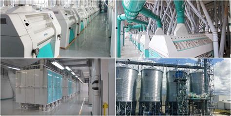 Facts About Automatic Grain Processing Machinery And Complete Plant