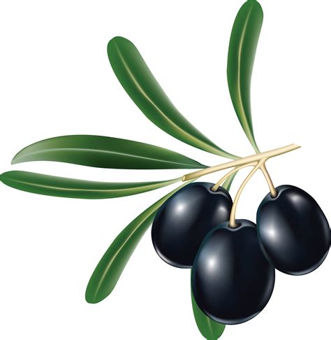 Оливки PNG