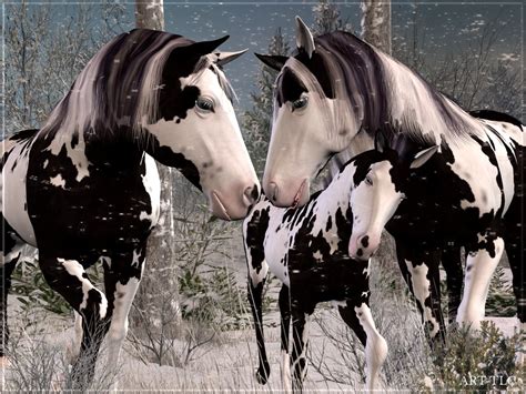 Free Horse Screensavers And Wallpaper - WallpaperSafari