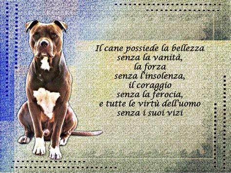 La Preghiera Di Un Cane Ppt Scaricare