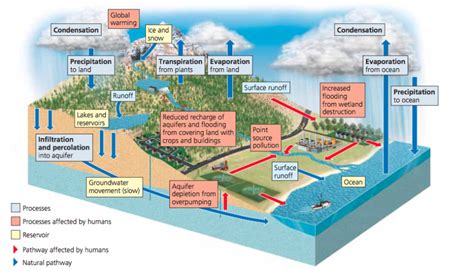 Water Cycle - BIOGEOCHEMICAL CYCLES