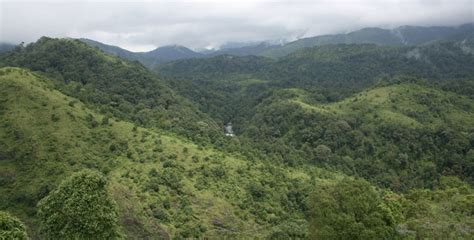 83 Most Beautiful Images In Silent Valley National Park Kerala India