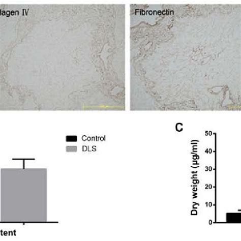 Retention Of Extracellular Matrix Ecm Components By Decellularized