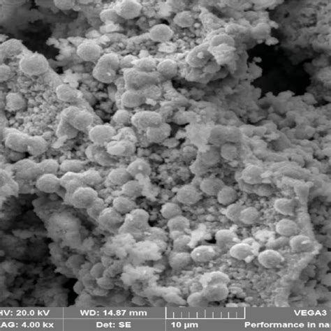 Green Synthesis Route Of Copper Oxide Nanoparticles Download