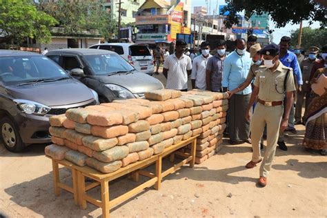 Bid To Smuggle 500 Kg Ganja Into Sri Lanka Under Poultry Feed Busted