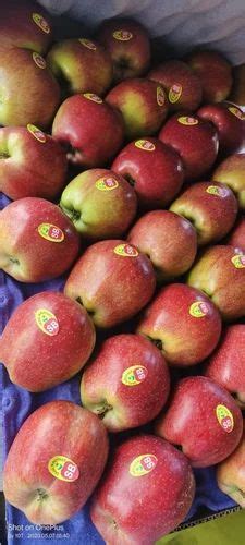 Kashmiri A Grade Apple Fruit Packaging Size 10 Kg Packaging Type