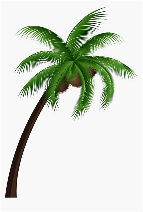 Palm Tree Top View Png - Coconut Tree Clipart Png, Transparent Png ...