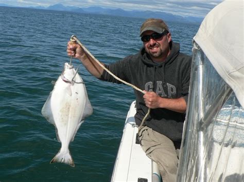 How To Fillet Halibut