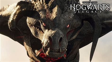 DRACHEN HOGWARTS LEGACY Gameplay Deutsch 25 YouTube