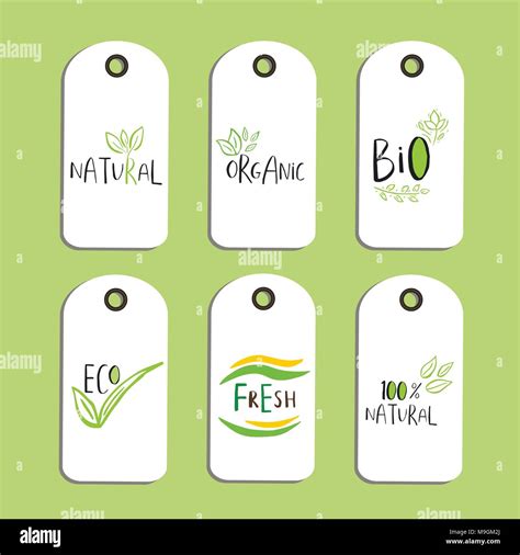 Conjunto de placa o etiqueta ecológica de Vector bio logotipo verde