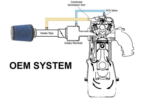 Catch Can Diagram For Ls Engine Catch Ls Elite Catchcan