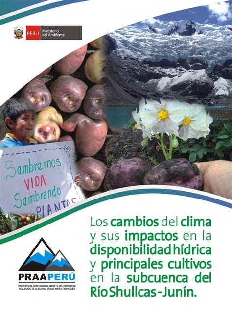 Pdf Los Cambios Del Clima Y Sus Impactos En Shullcas Junin