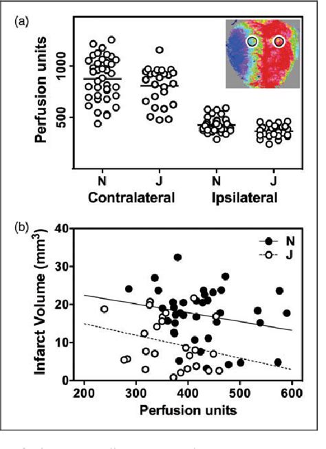 Substrain And Sex Dependent Differences In Stroke Vulnerability In