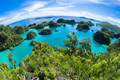 Ini Yang Harus Kamu Tahu Tentang Raja Ampat Papua This Is Raja Ampat