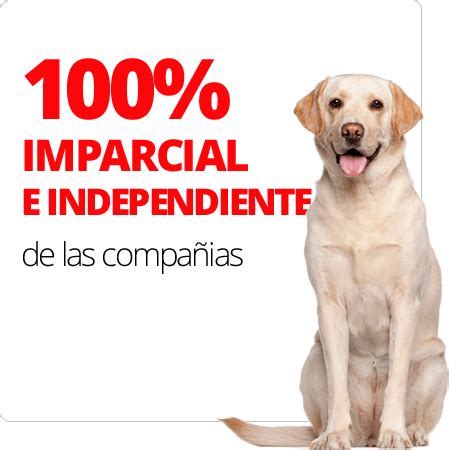 COMPARADOR DE SEGUROS VETERINARIOS SEGUROS PARA PERROS