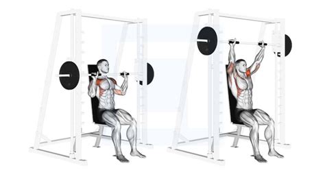 Smith Seated Shoulder Press - Guide, Benefits, and Form