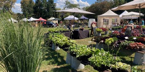 7eme Fête Des Plantes De La Croze à Billom 63 2024 Billom Puy