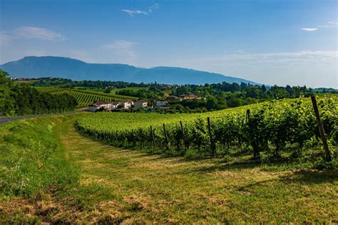 Visiting The Land Of Prosecco Italy Ultimate Travel Guide