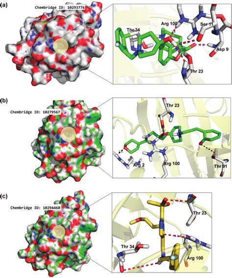 Molecular Docking Conformations Generated By Pymol Visualizing