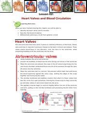 Numc B Module Cardiovascular System The Heart Lesson Pdf