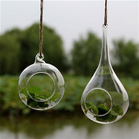 Terrarium Ball Globe Shape Clear Hanging Glass Vase Flower Plants Container Landscape Diy