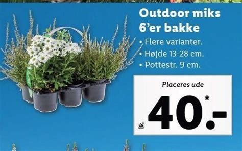 Outdoor Miks 6 Er Bakke Tilbud Hos Lidl