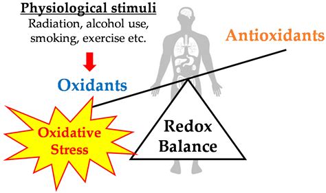 Antioxidants Free Full Text Exercise Induced Oxidative Stress And