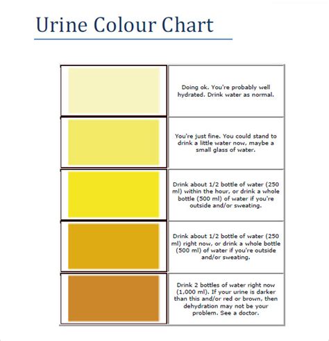 Printable Urine Color Chart - Printable Word Searches