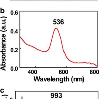 A Typical Tem Image Of Aunp Mpbape Nanoprobe The Scale Bar