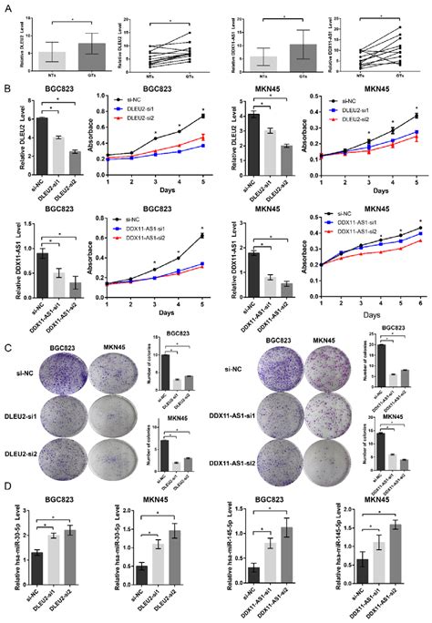 Genes Free Full Text Integrative Analysis Of Dysregulated Lncrna