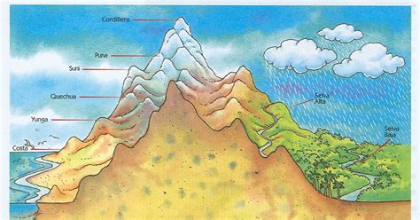 Educaci N Primaria Las Ocho Regiones Naturales Del Peru