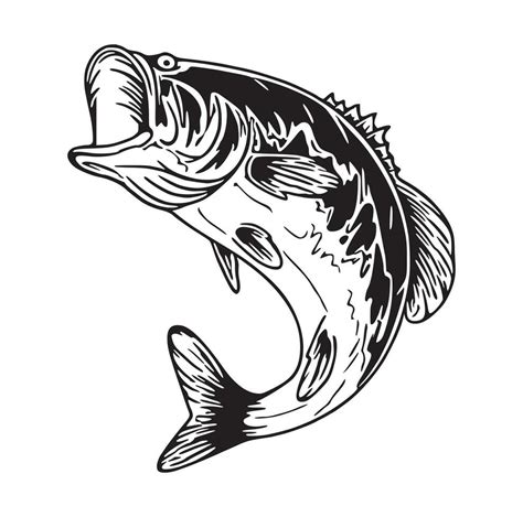 Black And White Of Largemouth Bass Fish 27605032 Vector Art At Vecteezy