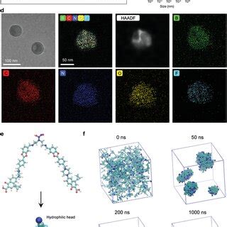 Aha Assemblies Eradicate Staphylococci In A Murine Peritoneal Infection