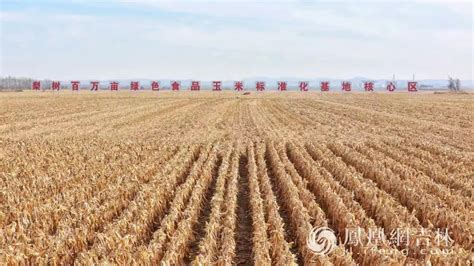 吉地新动能产粮大县梨树：保护黑土地 扛稳粮食安全重任凤凰网吉林凤凰网