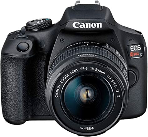 Best Canon Cameras For Beginners In