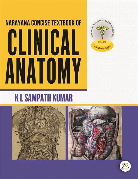 Narayana Concise Textbook Of Clinical Anatomy Zorbabooks