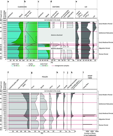 Paleo Environmental Indicators The Age Depth Correlation Of The LS C19