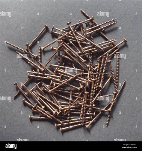 Wood Screw Stock Photo Alamy