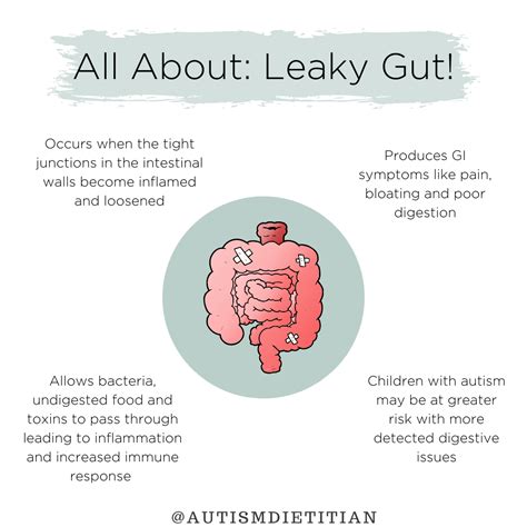 Leaky Gut Syndrome The Nourishing Autism Collective