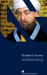 Маймонид - читать онлайн бесплатно полную версию книги или скачать в ...