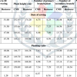 Effect Of Date Of Sowing And Planting Ratio On Seed Set And Seed Yield