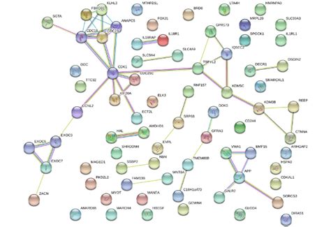 Protein Protein Interactions Ppi Network For The 73 Candidate Genes